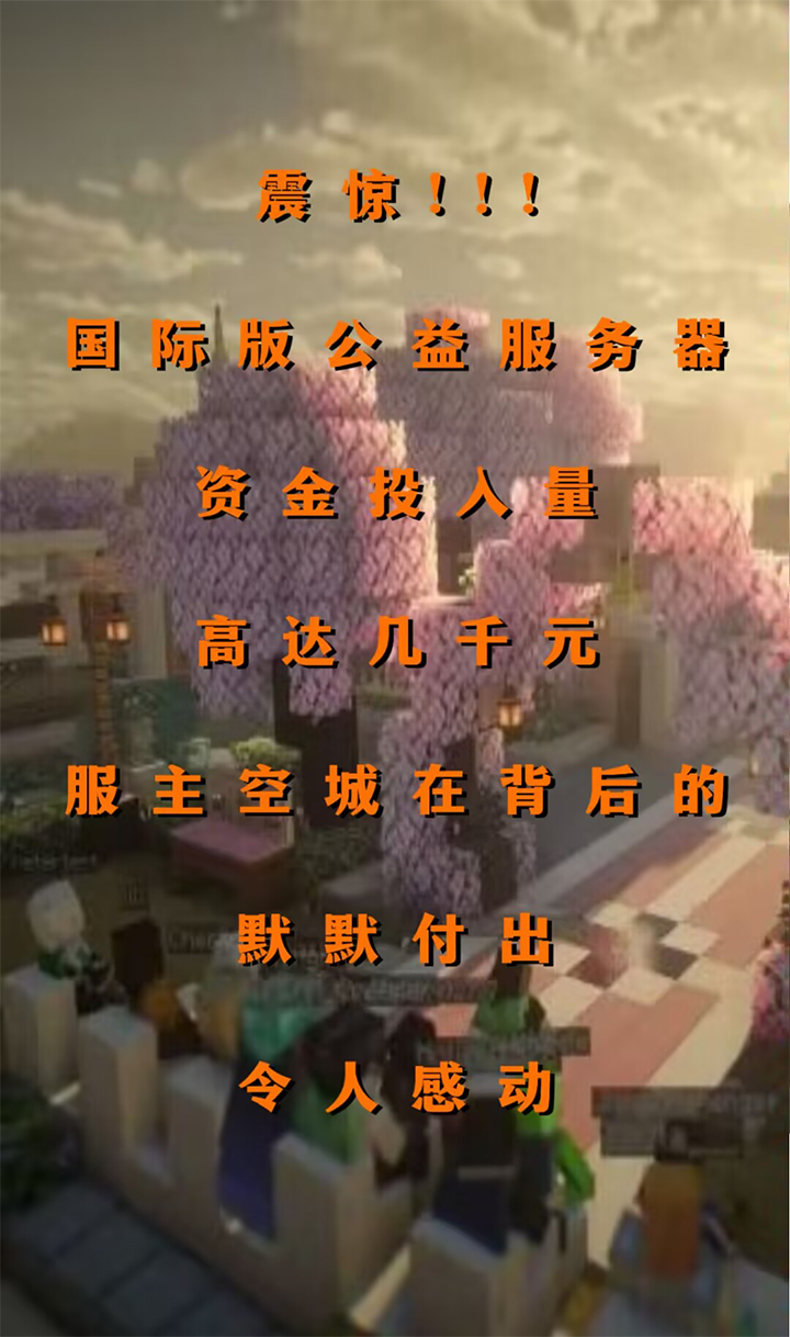 图片未加载